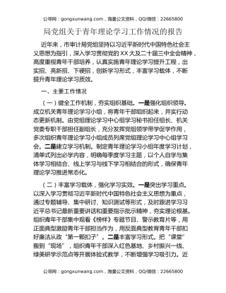 局党组关于青年理论学习工作情况的报告