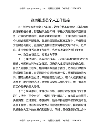巡察组成员个人工作鉴定