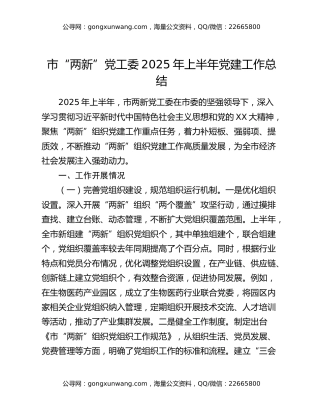 市“两新”党工委2025年上半年党建工作总结