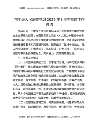 市中级人民法院党组2025年上半年党建工作总结