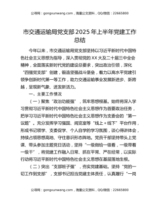 市交通运输局党支部2025年上半年党建工作总结