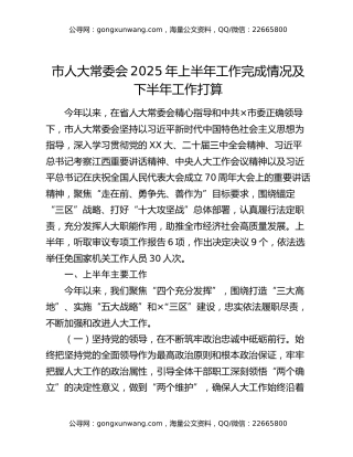 市人大常委会2025年上半年工作完成情况及下半年工作打算