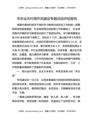 市农业农村局作风建设专题总结评估报告