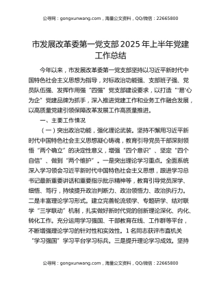 市发展改革委第一党支部2025年上半年党建工作总结