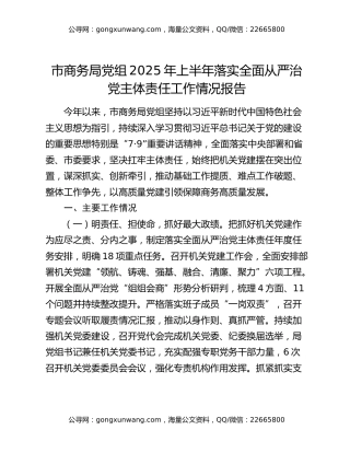 市商务局党组2025年上半年落实全面从严治党主体责任工作情况报告