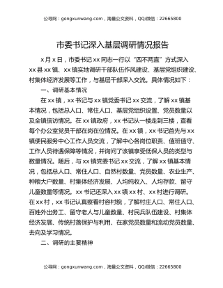 市委书记深入基层调研情况报告