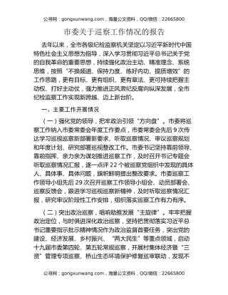 市委关于巡察工作情况的报告
