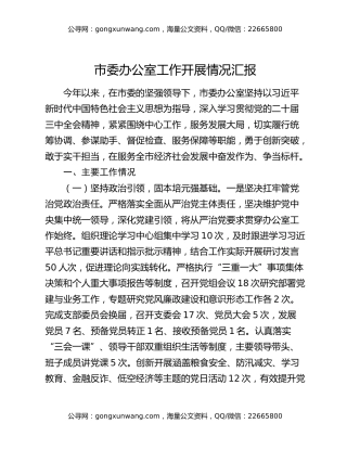 市委办公室工作开展情况汇报