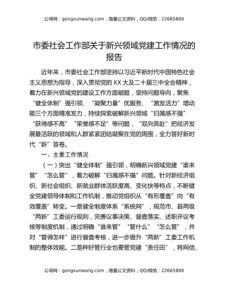 市委社会工作部关于新兴领域党建工作情况的报告