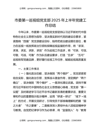 市委第一巡视组党支部2025年上半年党建工作总结