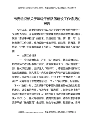 市委组织部关于年轻干部队伍建设工作情况的报告