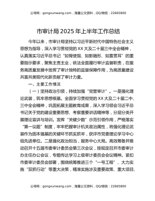 市审计局2025年上半年工作总结