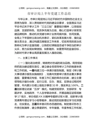 市审计局上半年党建工作总结