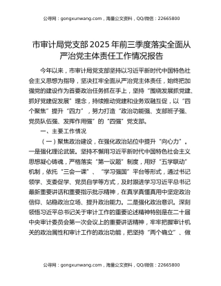 市审计局党支部2025年前三季度落实全面从严治党主体责任工作情况报告