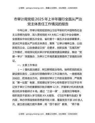 市审计局党组2025年上半年履行全面从严治党主体责任工作情况的报告