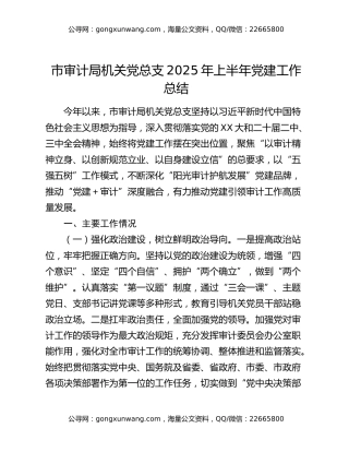 市审计局机关党总支2025年上半年党建工作总结