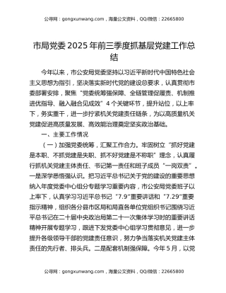 市局党委2025年前三季度抓基层党建工作总结