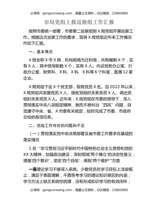 市局党组上报巡察组工作汇报（向巡察组）