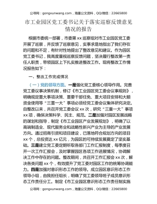 市工业园区党工委书记关于落实巡察反馈意见情况的报告