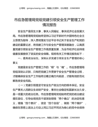 市应急管理局党组党建引领安全生产管理工作情况报告
