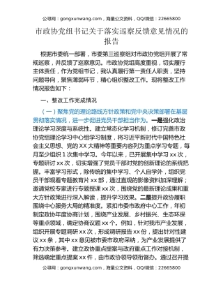 市政协党组书记关于落实巡察反馈意见情况的报告