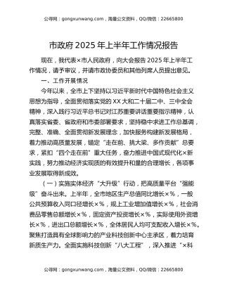 市政府2025年上半年工作情况报告