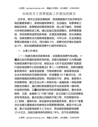 市政府关于消费提振工作情况的报告