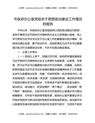 市政府办公室党组关于思想政治建设工作情况的报告
