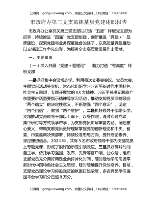 市政府办第三党支部抓基层党建述职报告