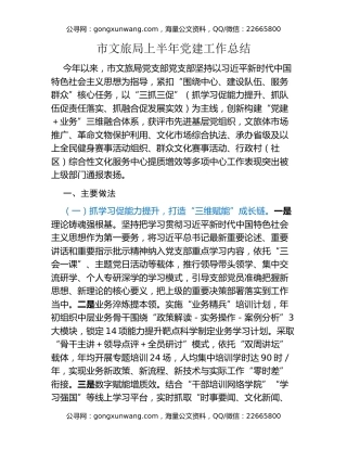 市文旅局上半年党建工作总结
