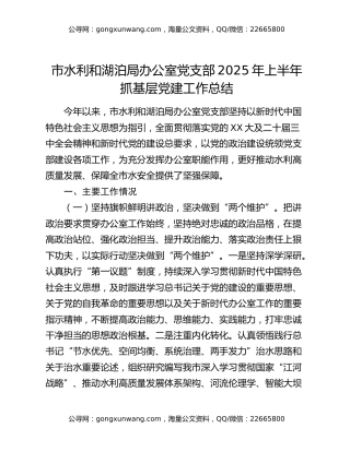 市水利和湖泊局办公室党支部2025年上半年抓基层党建工作总结
