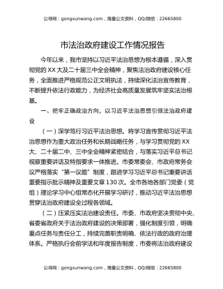 市法治政府建设工作情况报告