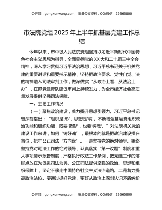 市法院党组2025年上半年抓基层党建工作总结
