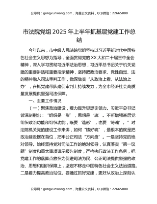 市法院党组2025年上半年抓基层党建工作总结（2）