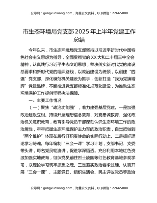市生态环境局党支部2025年上半年党建工作总结（2）