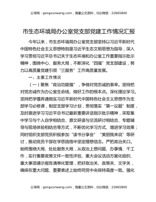 市生态环境局办公室党支部党建工作情况汇报