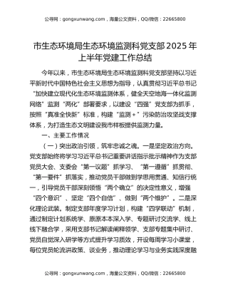 市生态环境局生态环境监测科党支部2025年上半年党建工作总结