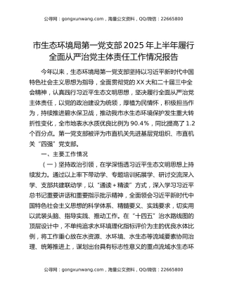 市生态环境局第一党支部2025年上半年履行全面从严治党主体责任工作情况报告