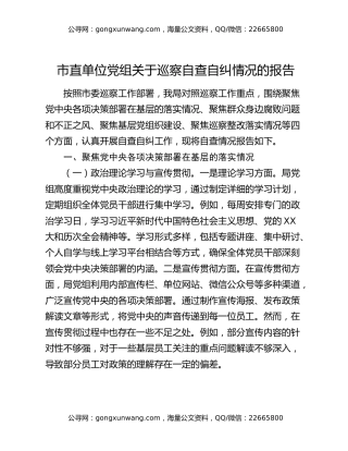 市直单位党组关于巡察自查自纠情况的报告