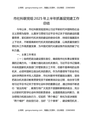 市社科联党组2025年上半年抓基层党建工作总结