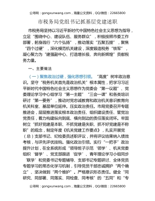 市税务局党组书记抓基层党建述职