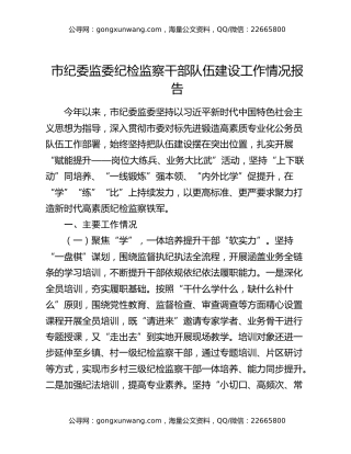 市纪委监委纪检监察干部队伍建设工作情况报告