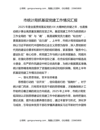 市统计局抓基层党建工作情况汇报