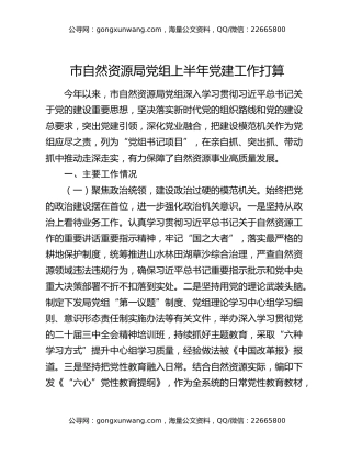 市自然资源局党组上半年党建工作打算