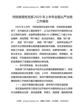 市财政局党支部2025年上半年全面从严治党工作报告 (2)