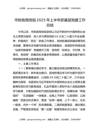 市财政局党组2025年上半年抓基层党建工作总结