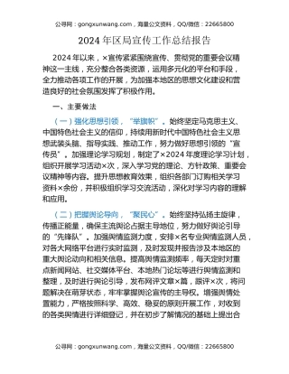 年区局宣传工作总结报告