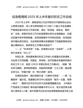 应急管理局2025年上半年意识形态工作总结（2851字）