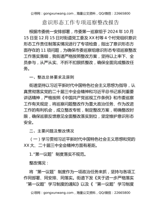 意识形态工作专项巡察整改报告