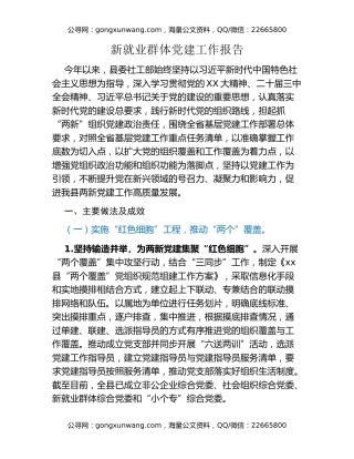 新就业群体党建工作报告